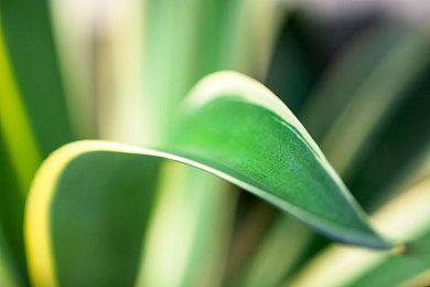 封印解除 据称《给他爱5》在沙特阿拉伯的七年禁令解除